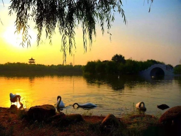 东昌湖风景